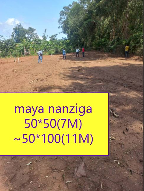 Maya Plot
