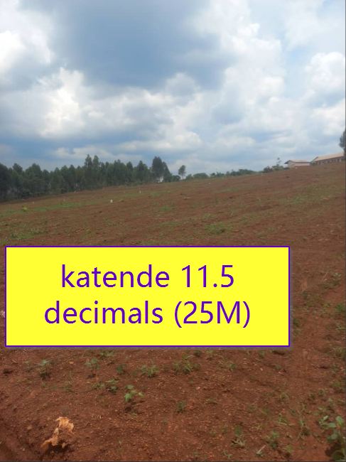 Land 2