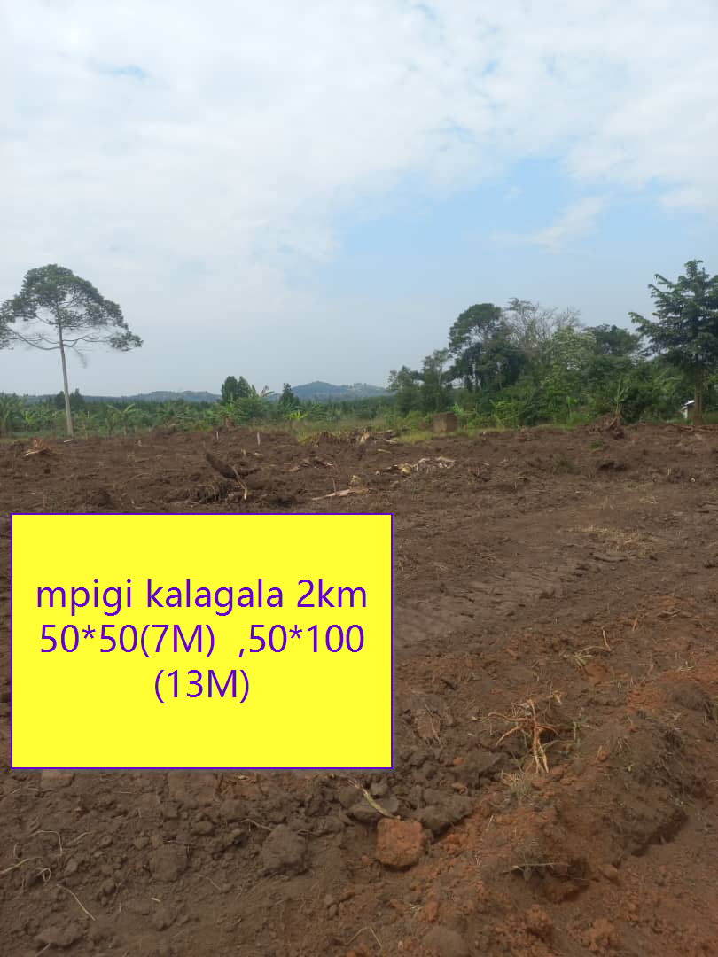 Land 3